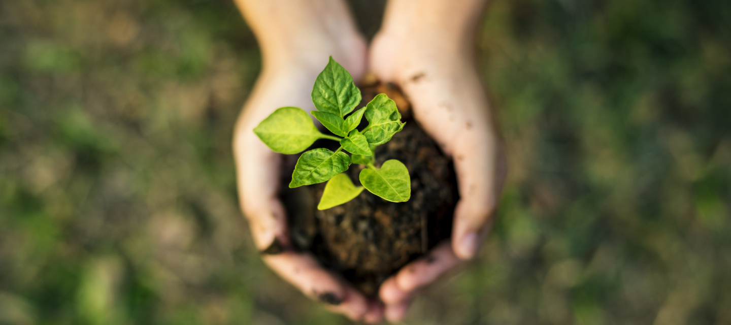 Nina Hospitality ESG Hotels Sustainability 