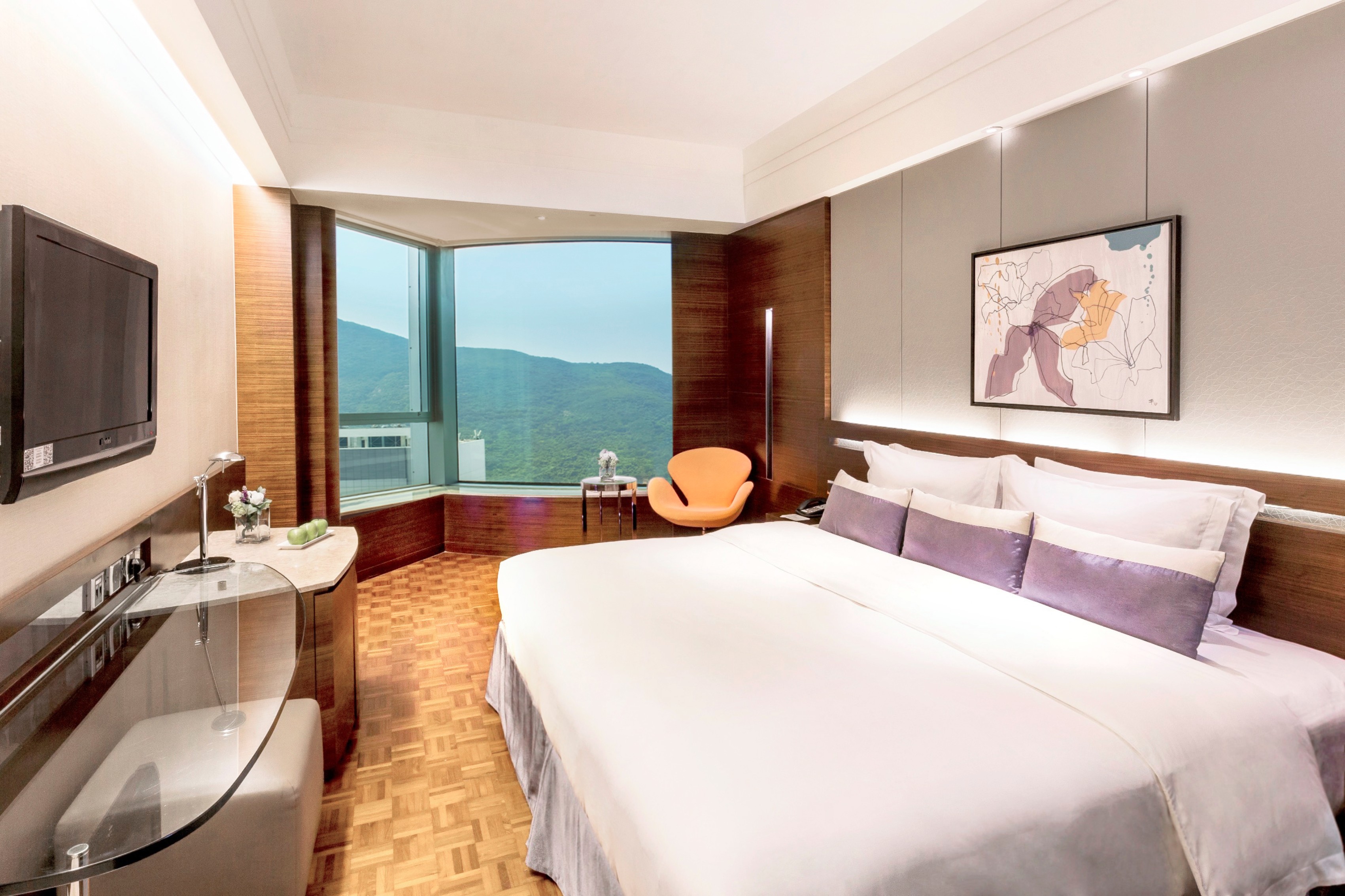 Premium City View Room